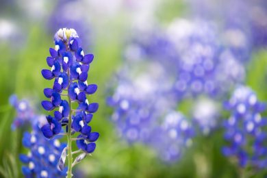 オフィスの香り、気にしたことはありますか？